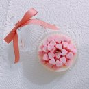 댕댕이 머리방 이미지