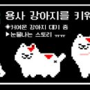 킹독 이미지