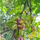 논향농장 이미지