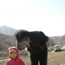 빈우농장 네이버블로그