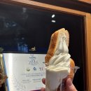 글라리아 | 강남역 빵맛집 비아살라리아(VIA SALARIA) 소금빵 아이스크림 강남디저트카페 추천