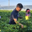 개군면사무소 이미지