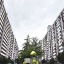동남지업사 네이버블로그