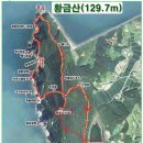 제137차 서산 황금산 송년산행 이미지