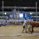 양주실내체육관 이미지