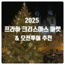소로3-낭월29 | 체코 프라하 1일 여행코스 | 오전 투어+구시가지 크리스마스 마켓