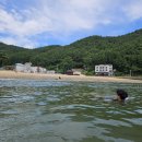 방죽포해수욕장(송림) 이미지