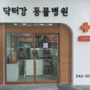 강동물병원 - 북구 칠곡중앙대로 483 | 강동물병원