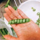 나눔영농조합법인 이미지