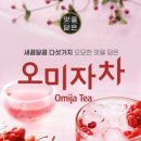담은에프에스