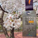 동패초,고등학교 앞 교차로-1 | 더 레이스 서울 21K 하프 완주