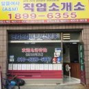 에이스 직업소개소 이미지