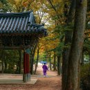 뚝섬한강공원-63 | 서울 아이들 가볼만한곳 10곳