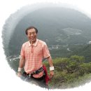 꿈꾸는소나무 이미지
