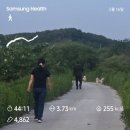 다미아트 | [W.02] 상견례 예약이 이렇게 힘든지 몰랐다 | 익산 상견례 추천 | 다미일식 후기