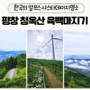 평창 여행 청옥산 육백마지기 샤스타데이지 방문 후기