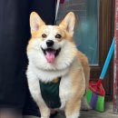 분당마중한의원 | [내돈내산] 자연과한의원 34일차