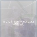 연제결혼정보