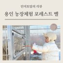 둥이네농장2 | 용인 포레스트벨 아기랑 갈만한곳 동물농장과 딸기체험 실내놀이터 추천