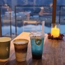 매화농원 | [양산 원동 카페 아덴 전망대매화농원] 양산드라이브 식물원 카페 내돈내산