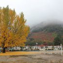 칠북초등학교 이미지