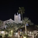 자딘관광호텔 | 테네리페 신혼여행 숙소 자댕 트로피컬(Jardin Tropical)리조트 #1 기본 정보 &amp; 더블룸