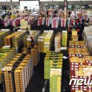 전주농수산물도매시장 이미지