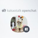 허그몽몽 이미지