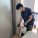 리벤하임세탁 | 🧥 논산 리벤하임 아파트 옷장에서 벌레?!