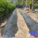 상복농장 이미지