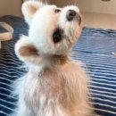 두카메디컬센터 이미지