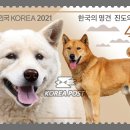 우정진도개 이미지