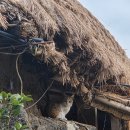 표선면-1 | [제주서귀포여행] 표선면 성읍민속마을 예쁜 초가집 카페 초가헌 뚜벅이여행 후기