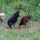 고향산천 이미지