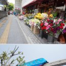 국일삼계탕 이미지