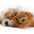 7당구클럽 이미지