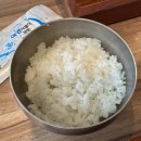 본동물회 이미지