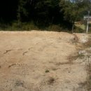 황금의땅공인중개사사무소 이미지