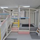 맘놓고우당탕탕 이미지