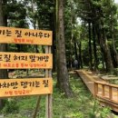 오고생이