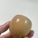 (주)유유테이진메디케어 | 3월 셋째주 일상 |