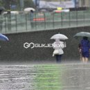 대서광장 이미지