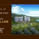 백운산 숲속의 아침 이미지