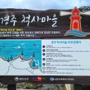 양포항 티스토리