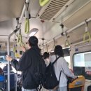 이시각 주요 오늘 제대로 반만원버스탄 아닝 이미지