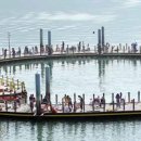 가우도 낚시공원 이미지