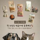 멍냥의민족대화 | [마케팅 강의_ 매체별 실무 카피 기초] 2-3강. 소셜미디어 카피 - 공감을 이끄는 짧은 글쓰기
