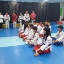 그린나래 태권도 시범단 이미지