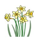 사림동113 이미지