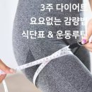 로아플랜